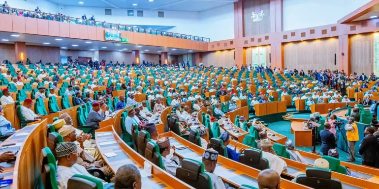 Nigerian House of Representatives debates US visa policy