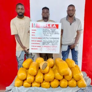 NDLEA officers with confiscated drugs during operations that led to arrests of elderly suspect and medical doctor in Nigeria