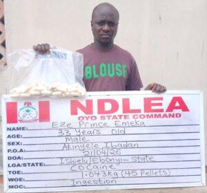 NDLEA officers inspecting seized illegal drugs and explosive device components recovered during nationwide operations in Niger State, Kwara, Oyo, Edo, and other states.