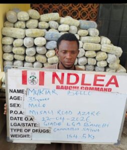 NDLEA officers inspecting seized illegal drugs and explosive device components recovered during nationwide operations in Niger State, Kwara, Oyo, Edo, and other states.