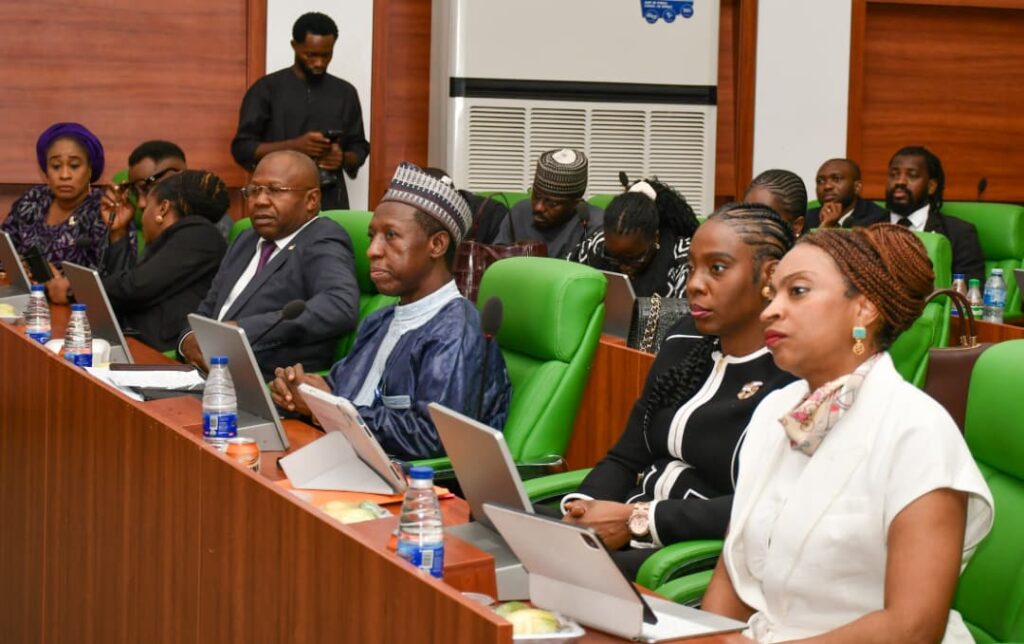 Minister of Industry, Trade and Investment Jumoke Oduwole speaking on the need to pass Nigeria’s AfCFTA Domestication Bill.