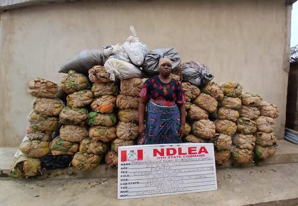 NDLEA operatives seize over 3.2 tonnes of cannabis in five states