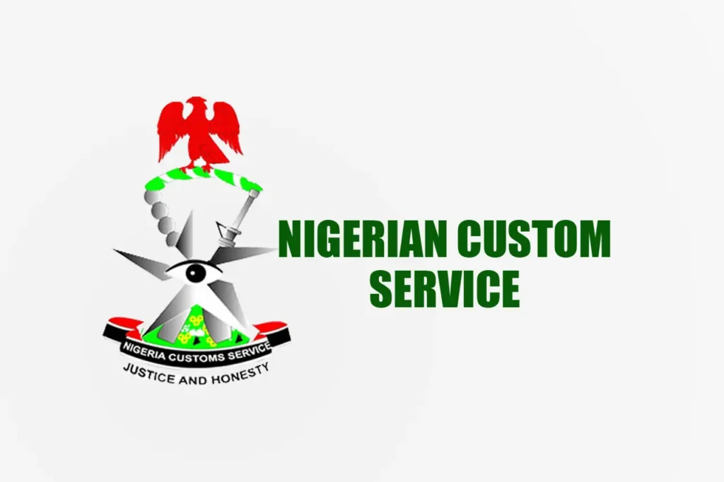 Nigeria Customs officials intercept endangered wildlife species including primates, wild cats and birds in Kano