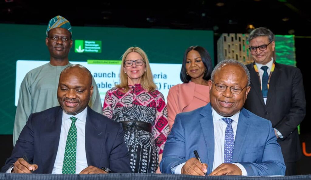 Officials launch Nigeria’s $300 million Distributed Renewable Energy Fund