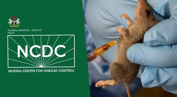 NCDC Lassa fever awareness and prevention campaign